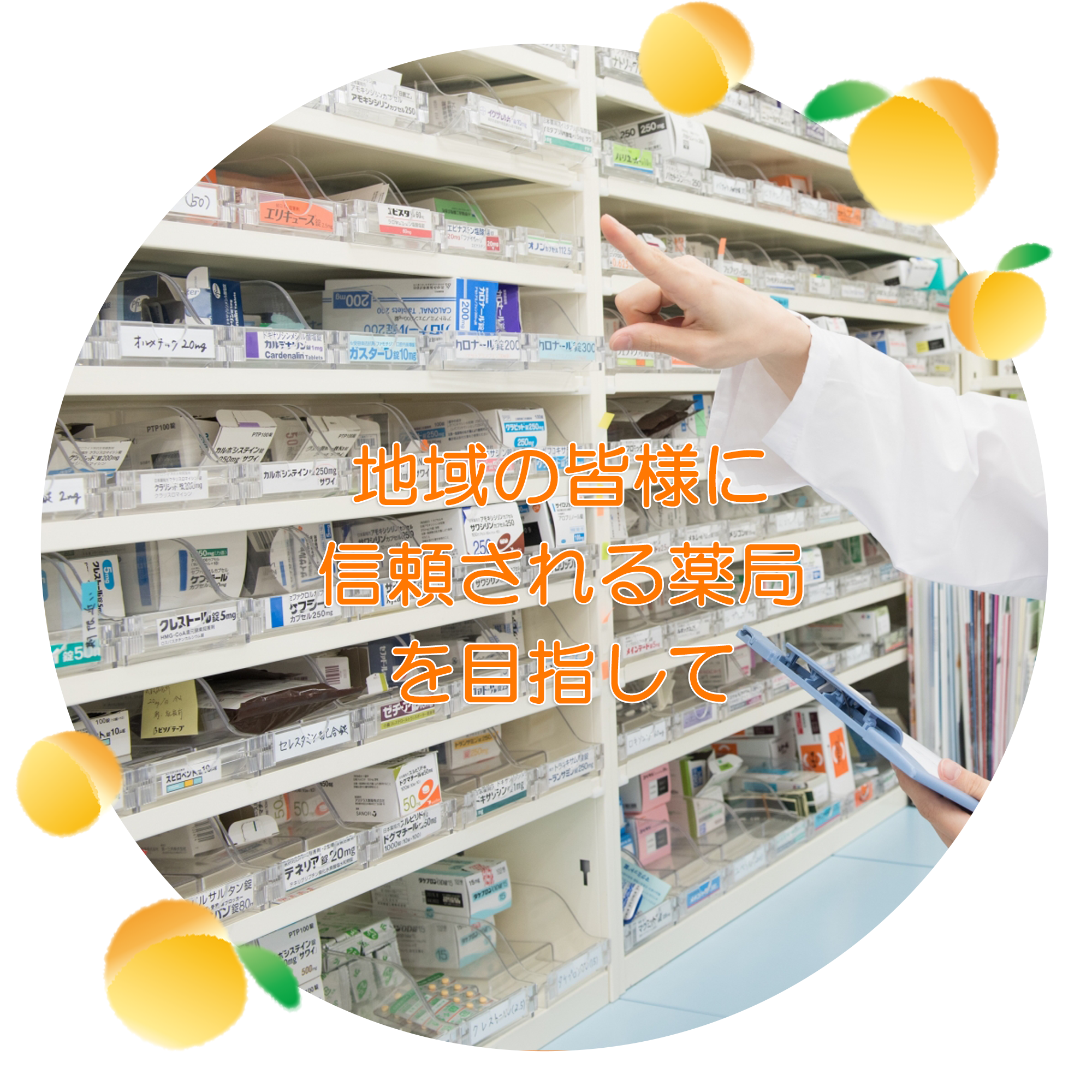 あんず調剤薬局グループ｜高幡店・高尾店